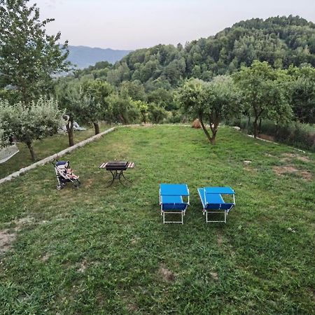 Vila Ella Villa Căpăţîneni-Ungureni Buitenkant foto