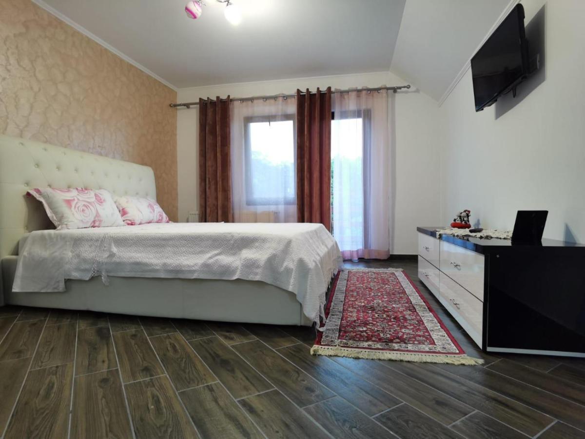 Vila Ella Villa Căpăţîneni-Ungureni Buitenkant foto