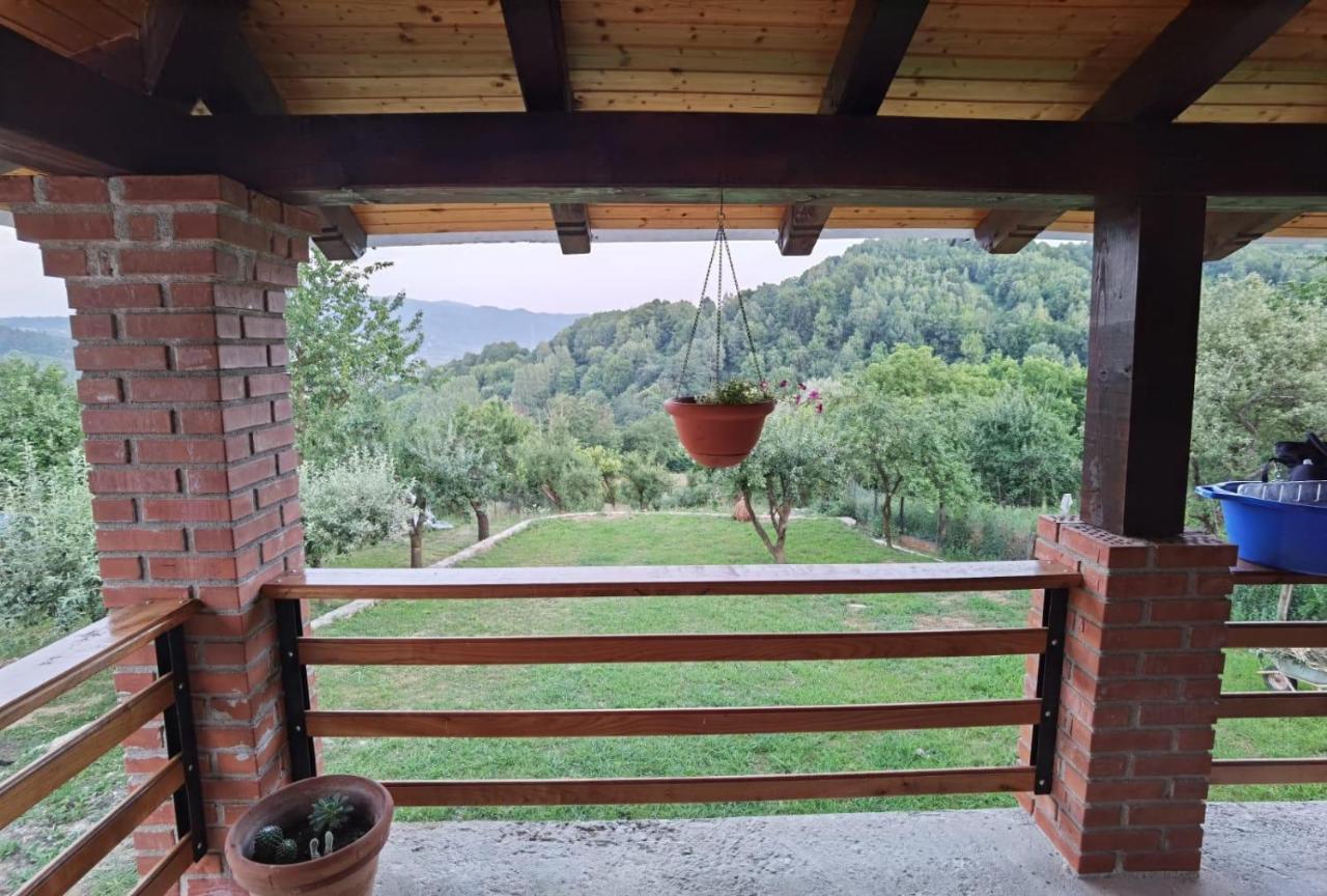 Vila Ella Villa Căpăţîneni-Ungureni Buitenkant foto
